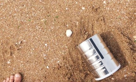 Mars on Earth: a tin can pinhole camera at the beach